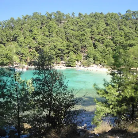 Nestor * Chrisi Ammoudia