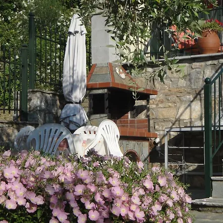 Nestor Chrisi Ammoudia