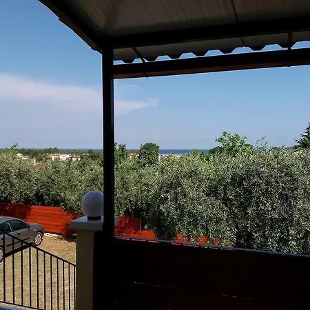 Nestor * Chrysi Ammoudia