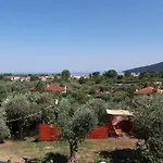 Nestor * 크리시 아모우디아