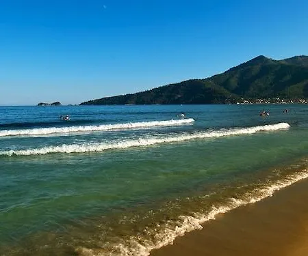 Nestor * クリッシ・アモウディア