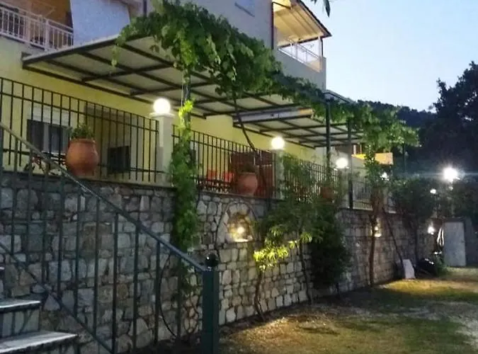 Nestor 克里斯阿穆迪亚