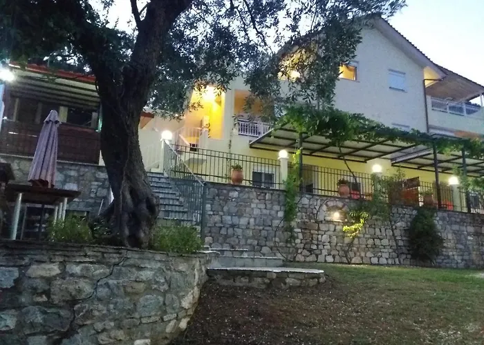 Nestor * 크리시 아모우디아