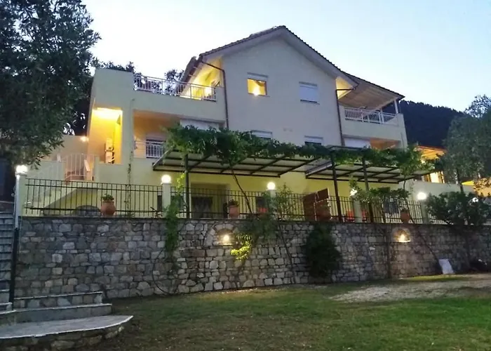 Nestor 크리시 아모우디아