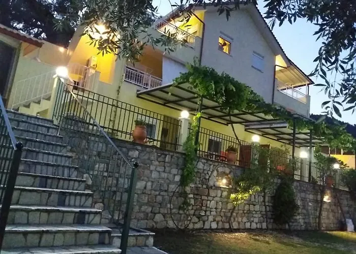 Nestor * 크리시 아모우디아