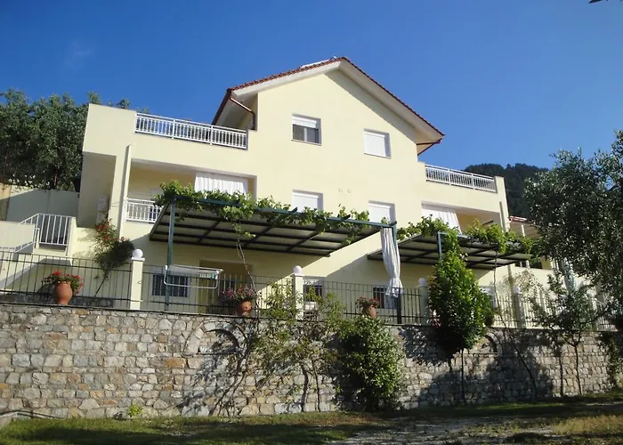 Nestor * 크리시 아모우디아