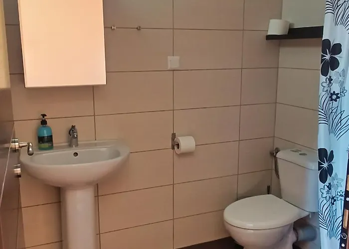 Nestor * 크리시 아모우디아