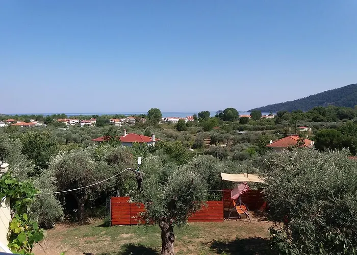 Nestor * 크리시 아모우디아