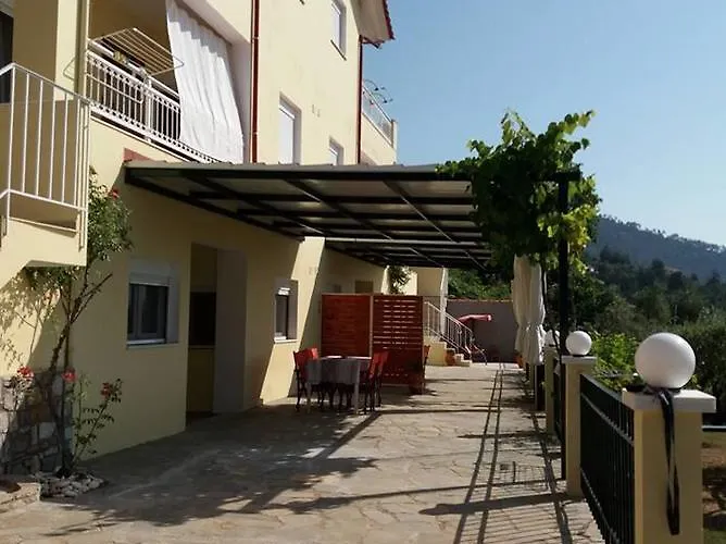 Nestor 크리시 아모우디아